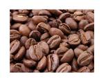 Arabica Coffee Beans - photo 1