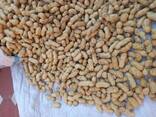 Peanuts from Uzbekistan - фото 2