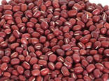 Adzuki bean - photo 1