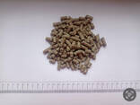 Animal feed additives - фото 1
