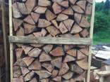 Beech Firewood - photo 2
