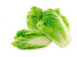 Beijing cabbage from Uzbekistan - фото 1