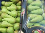 Best pears from Poland wholesale - фото 3