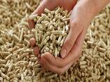 Best Price Biomass Holzpellets Fir Wood Pellets 6mm in 15kg bags