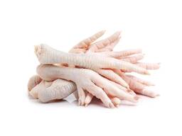 Best Quality Hot Sale Price Halal Frozen Chicken Feet | Frozen Chicken Meat