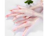 Best Quality Hot Sale Price Halal Frozen Chicken Feet | Frozen Chicken Meat - фото 6