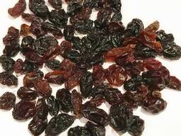Black raisins for confectionery grade (Kizilcha)