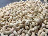 Cashew nut - фото 1