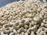 Cashew nut - фото 2