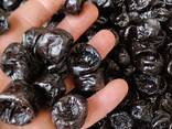 Prunes from Uzbekistan - фото 2