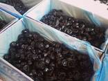 Prunes from Uzbekistan - фото 3