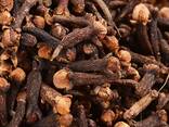Cloves spices - фото 2