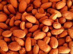 Dried Almond Nuts