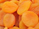 Dried apricots from Uzbekistan - фото 2