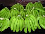 Fresh Bananas - photo 1
