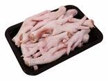 Fresh / Frozen Chicken Paws For Sale At Wholesale Price - photo 2