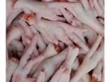 Fresh / Frozen Chicken Paws For Sale At Wholesale Price - photo 3