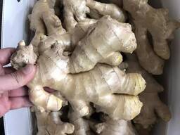 Fresh ginger