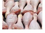 Frozen Halal Chicken Quarter Leg /Chicken Drumstick - фото 1