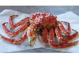 Frozen King Crab / Live King Crabs / King Crab Legs - фото 1