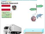 Митно-брокерські послуги / Доставка вантажів з Німеччини в Альтмюнстер - фото 8