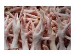 Best Quality Hot Sale Price Halal Frozen Chicken Feet | Frozen Chicken Meat - photo 2