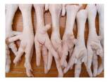 Best Quality Hot Sale Price Halal Frozen Chicken Feet | Frozen Chicken Meat - photo 3