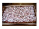 Best Quality Hot Sale Price Halal Frozen Chicken Feet | Frozen Chicken Meat - photo 1