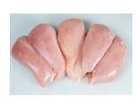 Halal Certified Frozen Chicken Breast Boneless Skinless . Chicken Boneless meat / Chicken - фото 8