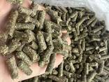 Heu-Luzerne-Futterfutter Getrocknete granulierte Luzerne-Pellets - фото 3