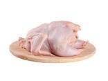 High Quality Wholesale Cheap Price Frozen IQF / BQF Whole Chicken For Sale - photo 2