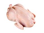 High Quality Wholesale Cheap Price Frozen IQF / BQF Whole Chicken For Sale - photo 3