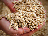 Europe Wood Pellets DIN PLUS / ENplus-A1 Wood Pellets from Romania - фото 1