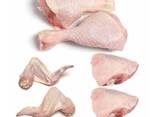 Hot sales - Frozen Chicken Gizzards / Whole Broiler Chicken For sale - фото 8