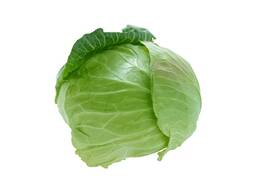 White cabbage from Uzbekistan