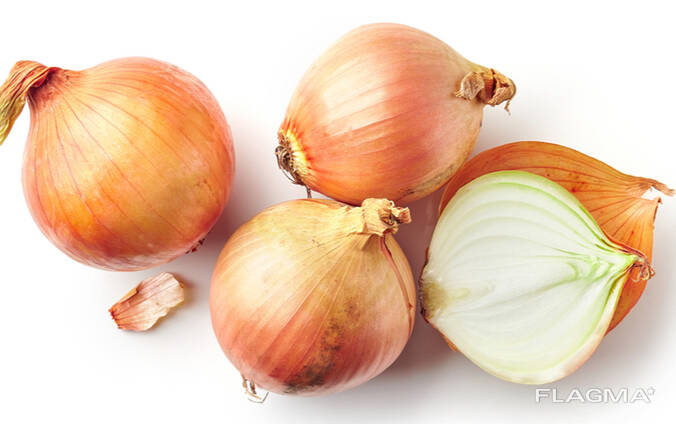 Onions from Uzbekistan