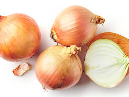 Onions from Uzbekistan