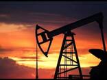 100% Garantie Öl und Gas, Diesel, Benzin, Heizöl und Erdölprodukte, andere - фото 3