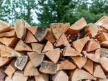 Oak Firewood/Firewood Logs in bulk - photo 1