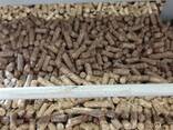 Pine fuel pellet 6 mm and 8 mm - фото 1
