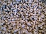 Pine Wood Pellets Best Price Biomass Fir Wood Pellets - photo 1