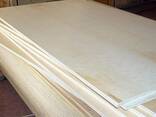 Plywood birch (FSF and FC) - фото 1
