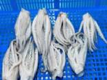 Предлагаем мороженные морепродукты в Австрию от завода из Китая - фото 2
