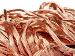 Scrap Metal Copper Wire Scrap Brass Scrap for Sale - photo 1