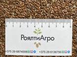 Сельхозпродукция из Республики Беларусь