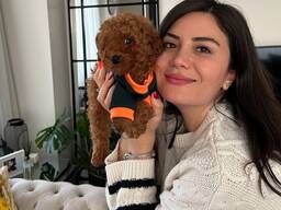 Щенки той-пуделя