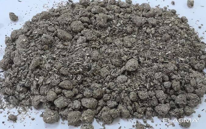 Sonnenblumenschrot an