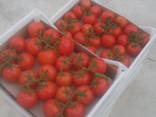 Strawberry , tomato - фото 2