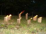 Swedish torches - photo 2