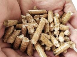 Premium-quality ENA1 wood pellets for sale